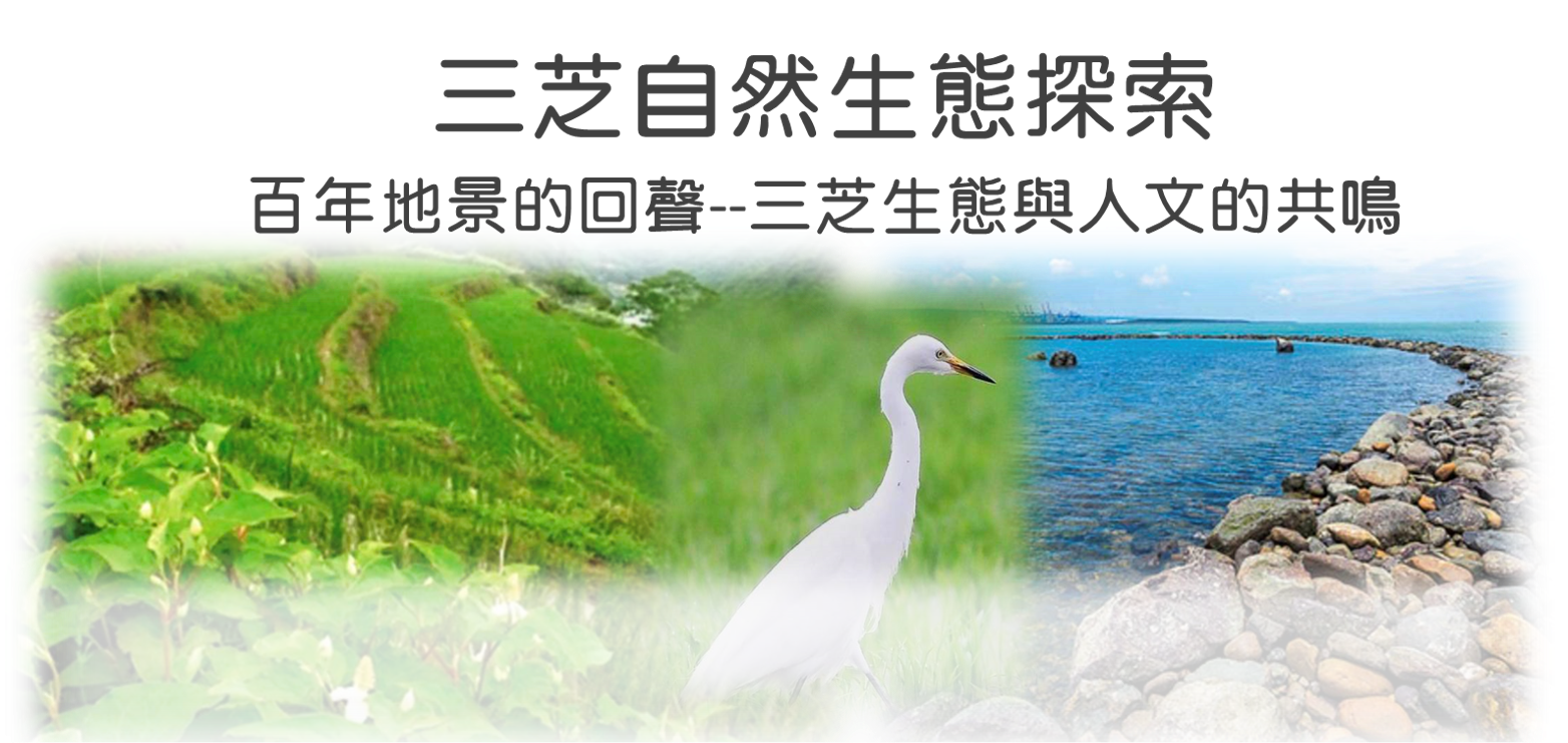 三芝自然生態探索<