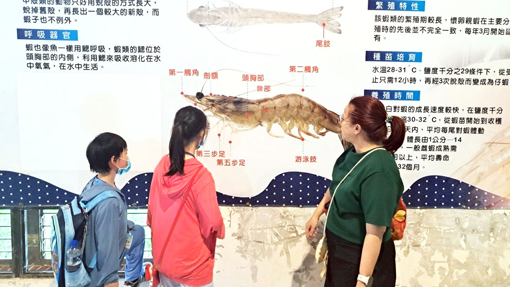 學子課後服務-【探索海洋世界-鯊魚餵食秀】114-07-10